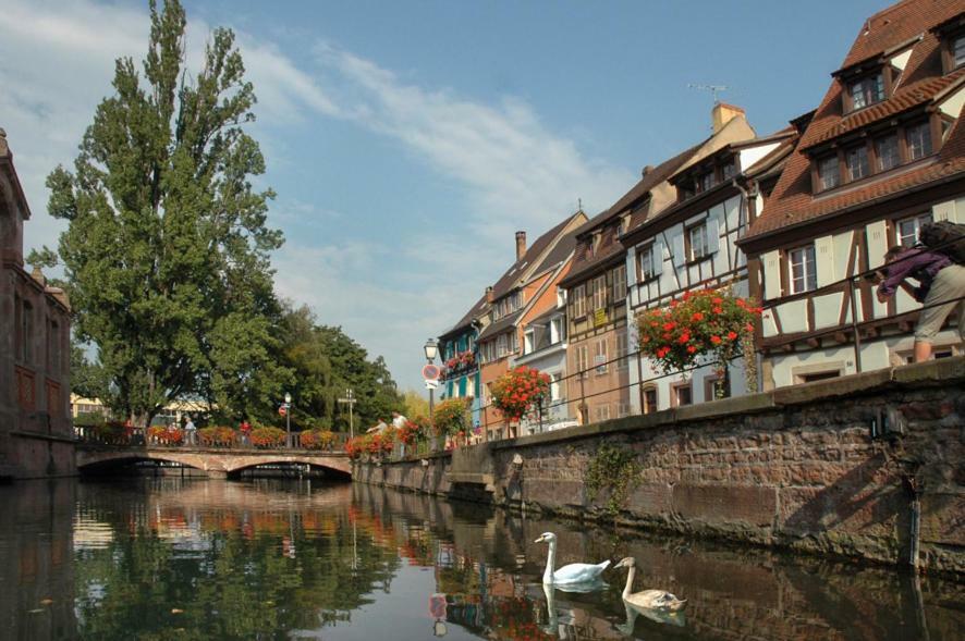 Au Buisson De Roses Lägenhet Colmar Exteriör bild